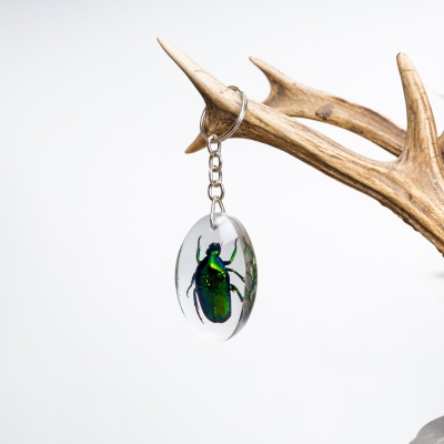 Green Flower Chafer Beetle in Resin Keyring