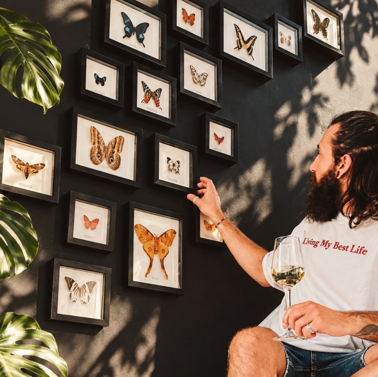 Minibeast Club (Monthly Entomology Frame Subscription)